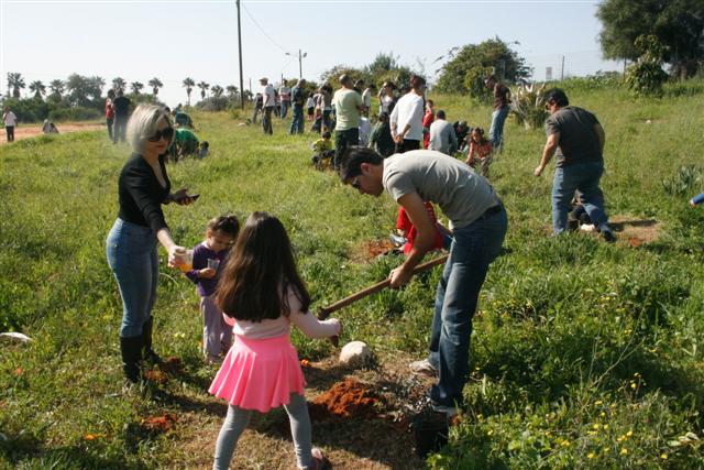 טו בשבט 2013 2